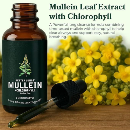 Better Lungs Mullein Detox Drops
